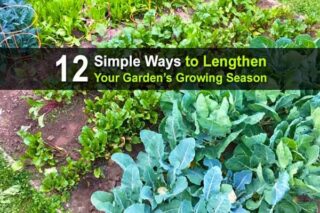12 Simple Ways to Lengthen Your Garden's Growing Season