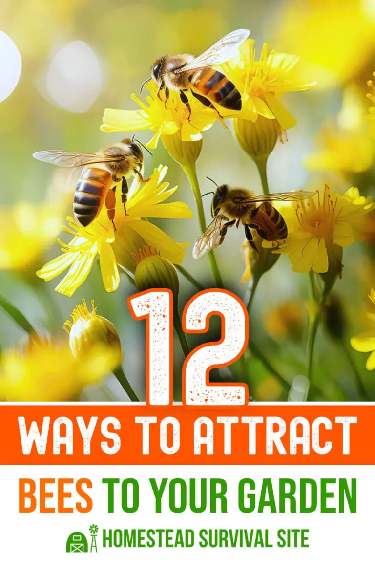 12 Ways to Attract Bees to Your Garden Homestead Survival Site