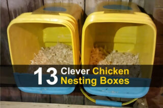 13 Clever Chicken Nesting Boxes