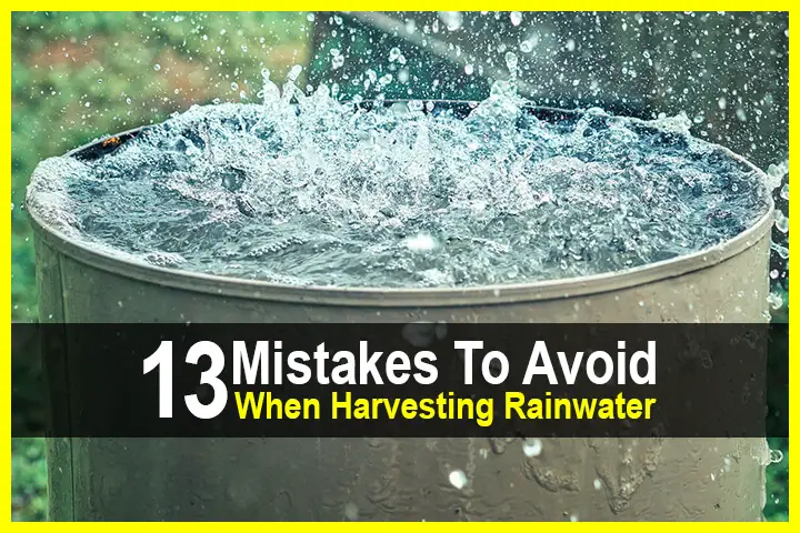 13 Mistakes to Avoid When Harvesting Rainwater