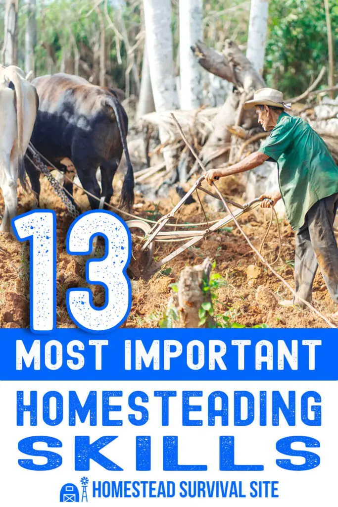 13 Most Important Homesteading Skills