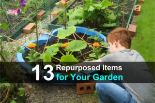 13 Repurposed Items for Your Garden