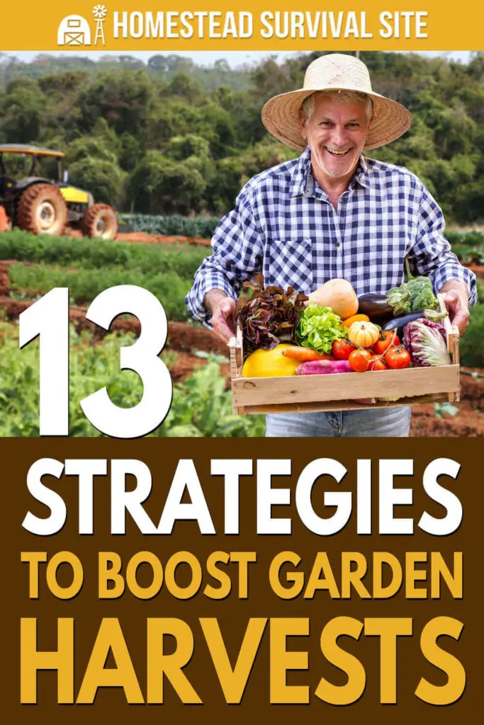 13 Strategies to Boost Garden Harvests