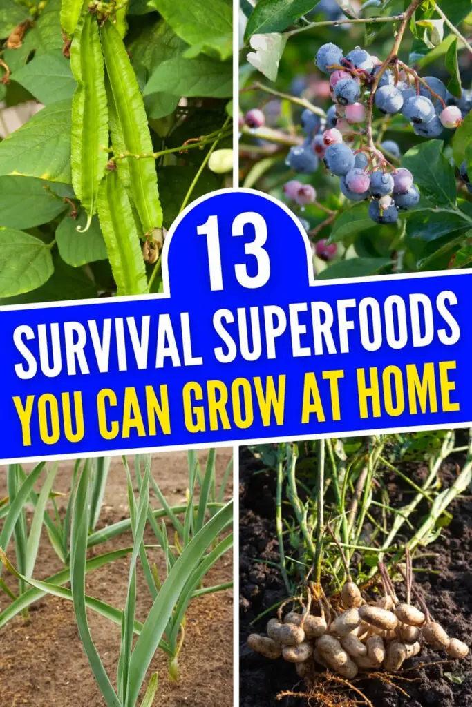 13 Survival Superfoods You Can Grow At Home