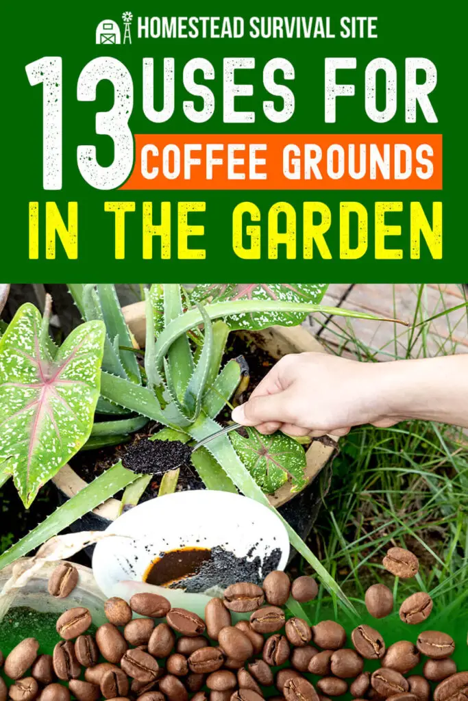 13 Uses for Coffee Grounds in The Garden