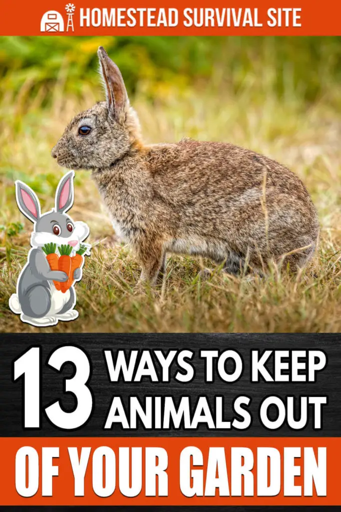 13 Ways to Keep Animals Out of Your Garden