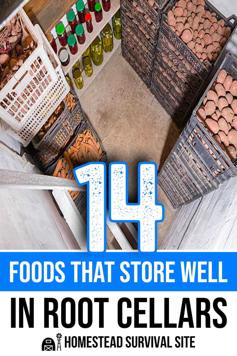 14 Foods That Store Well in Root Cellars