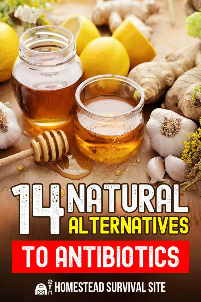14 Natural Alternatives to Antibiotics