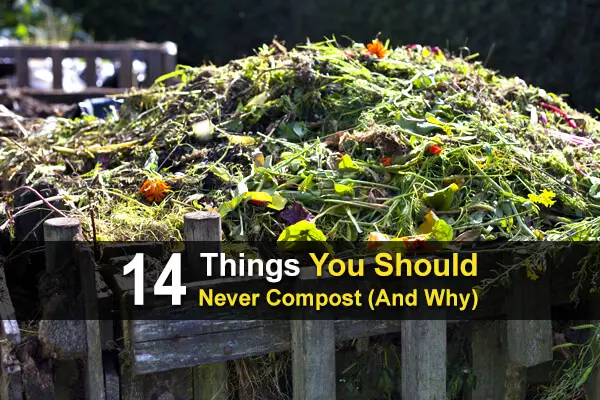 14 Things You Should Never Compost (And Why)
