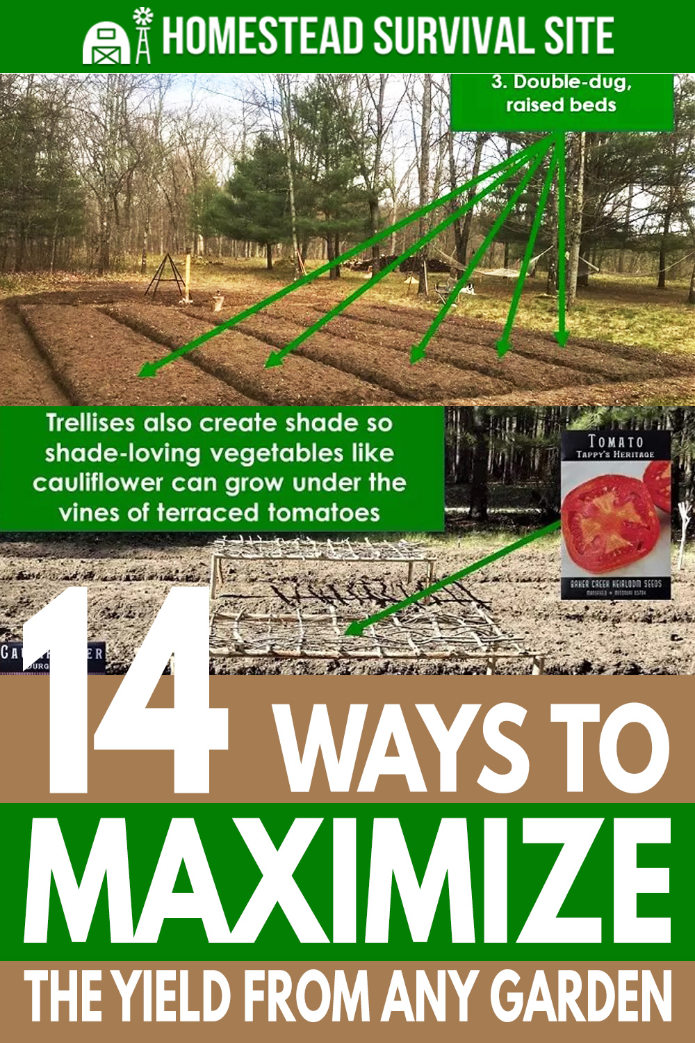 14 Ways To Maximize The Yield From Any Garden