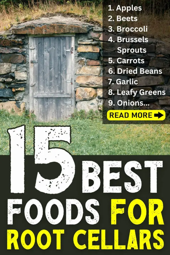 15 Best Foods for Root Cellars