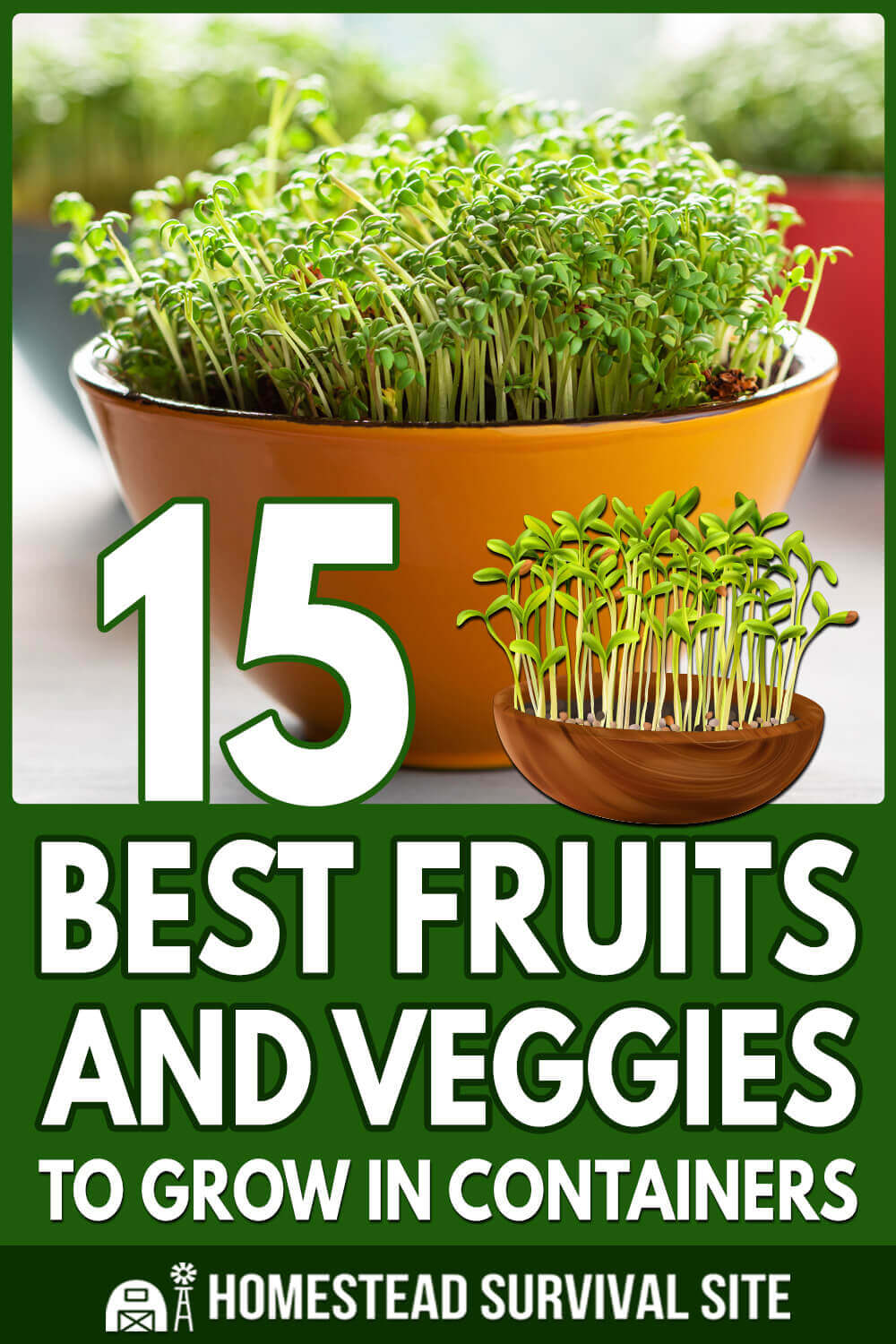 15 Best Fruits and Veggies to Grow in Containers