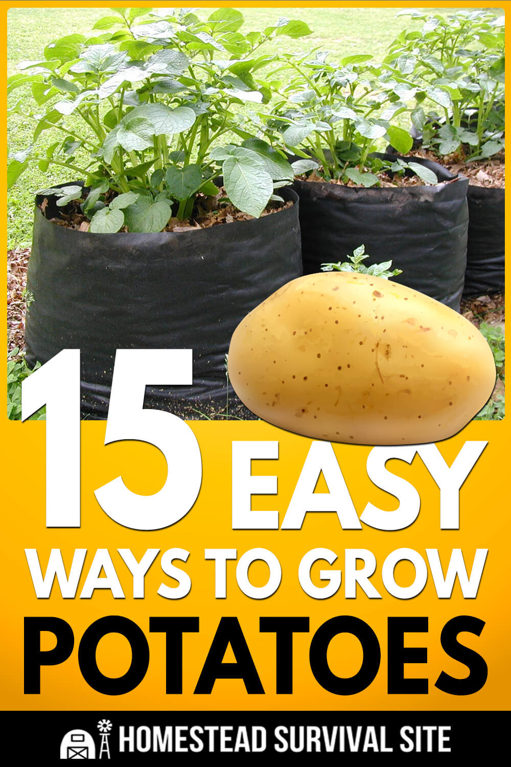15 Easy Ways to Grow Potatoes