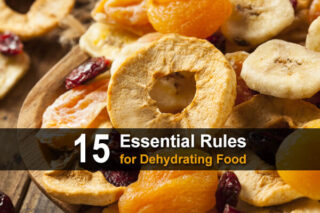15 Essential Rules for Dehydrating Food