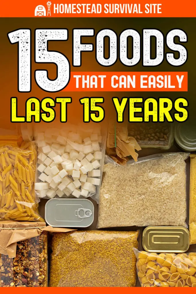 15 Foods That Can Easily Last 15 Years