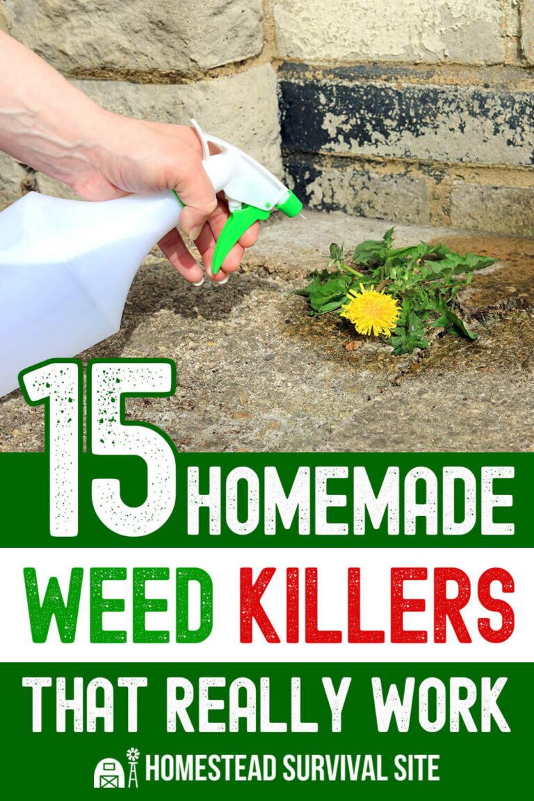 15 Homemade Weed Killers That Really Work