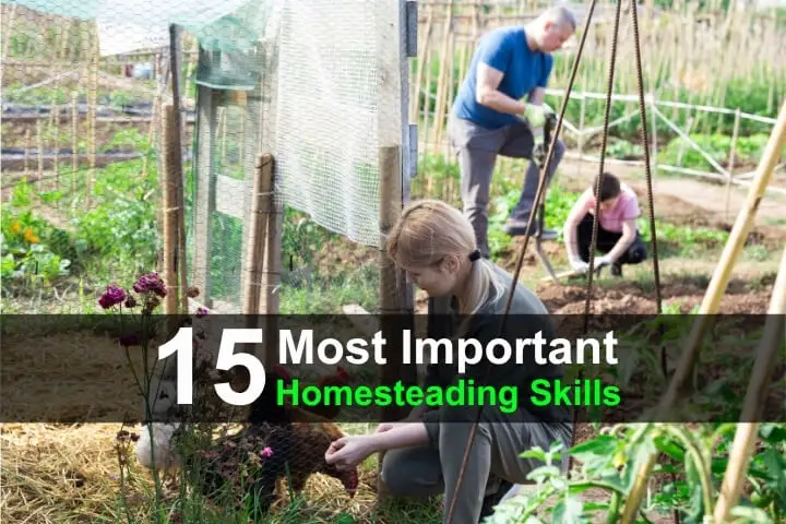 15 Most Important Homesteading Skills
