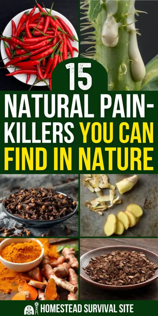 15 Natural Painkillers You Can Find In Nature