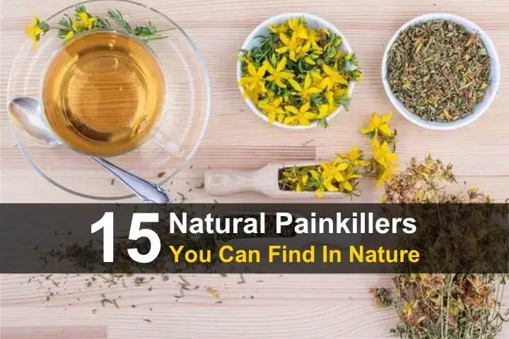 15 Natural Painkillers You Can Find In Nature