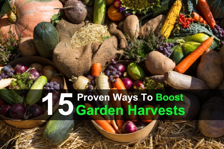 15 Proven Ways to Boost Garden Harvests