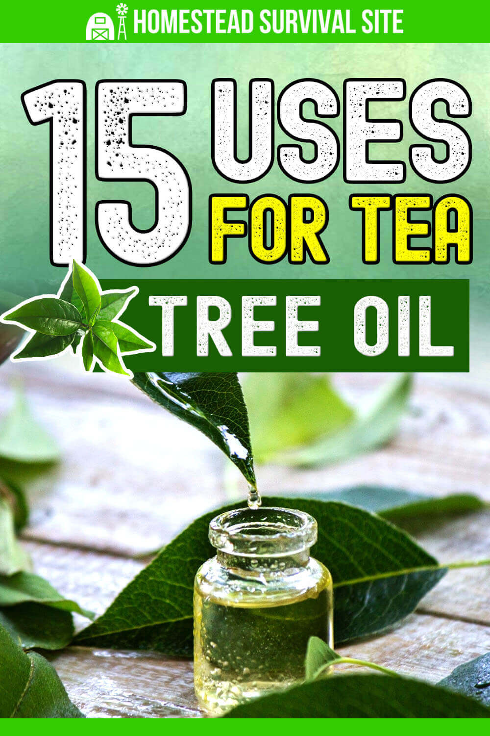 15 Uses For Tea Tree Oil