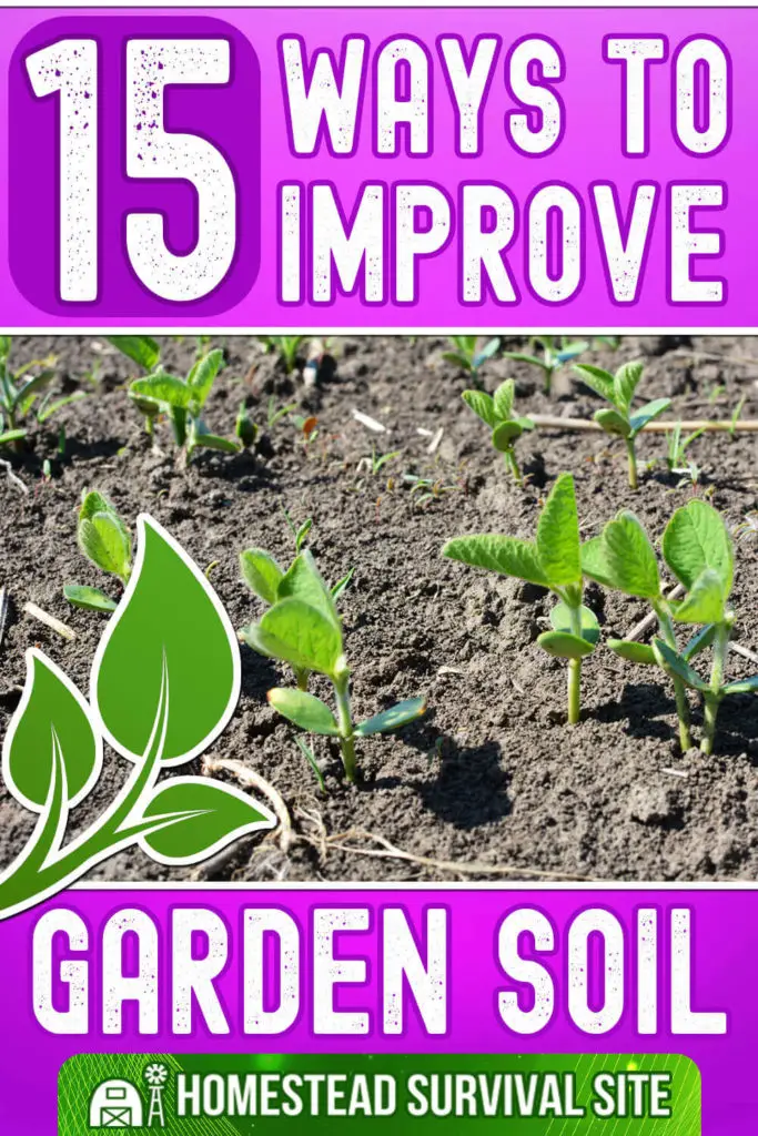 15 Ways To Improve The Soil In Your Garden