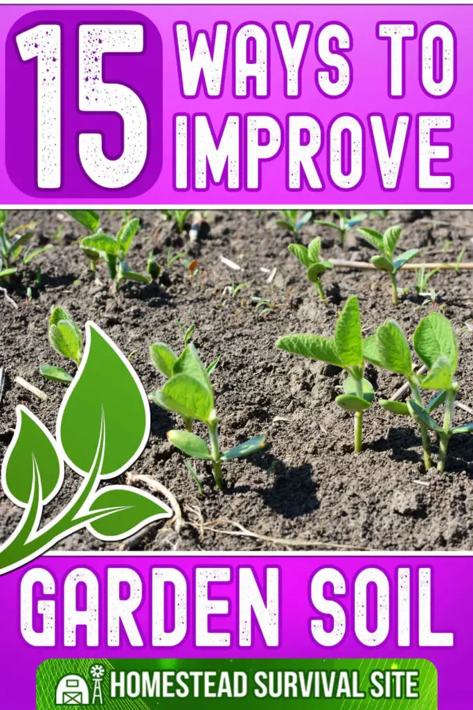 15 Ways To Improve The Soil In Your Garden