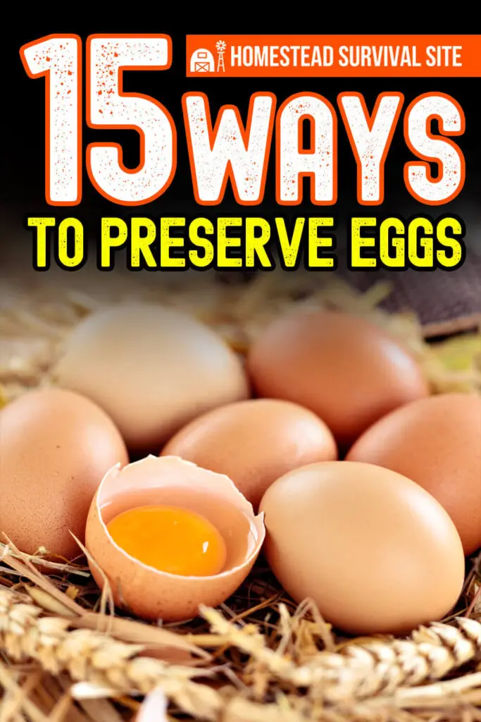 15 Ways to Preserve Eggs