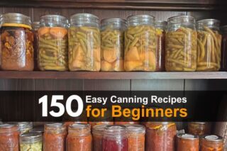 150 Easy Canning Recipes for Beginners