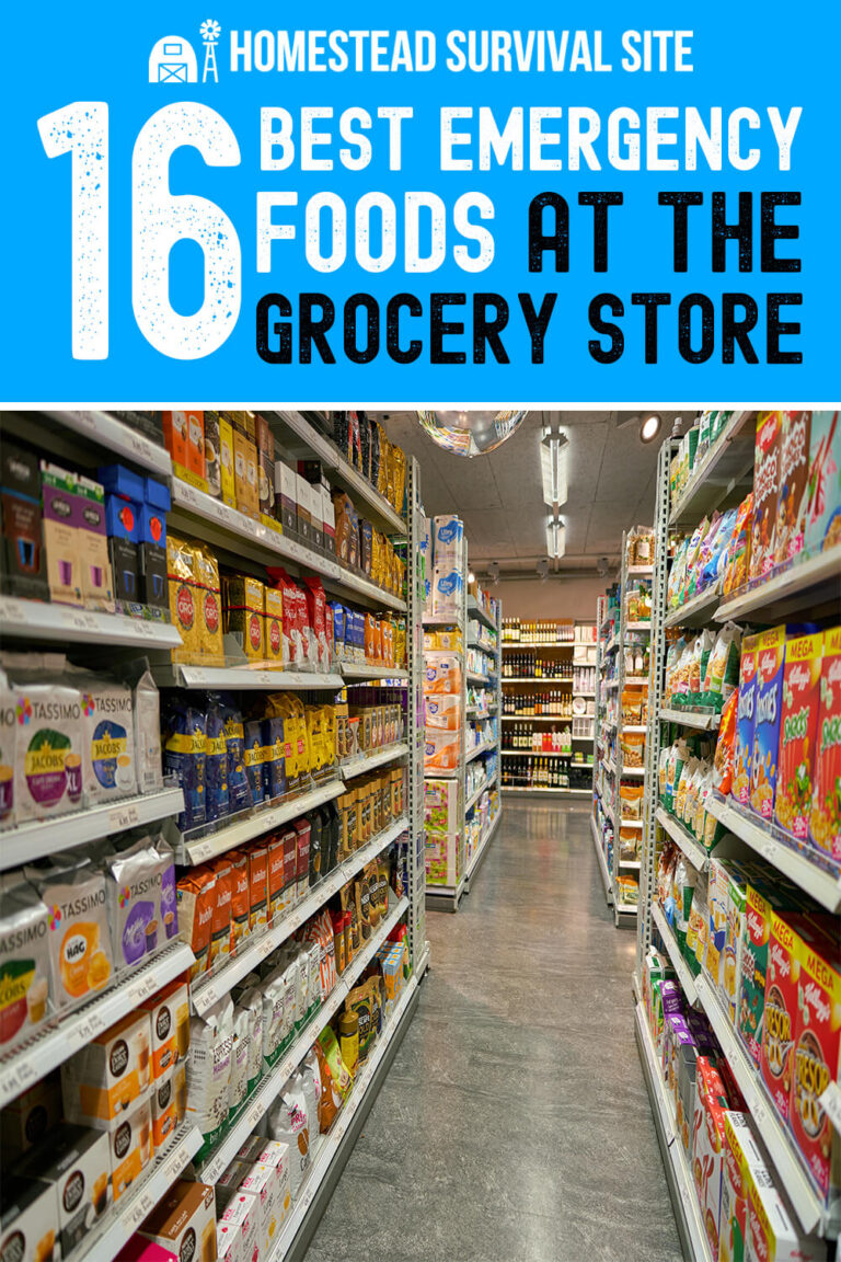 16 Best Emergency Foods at the Grocery Store Homestead Survival Site