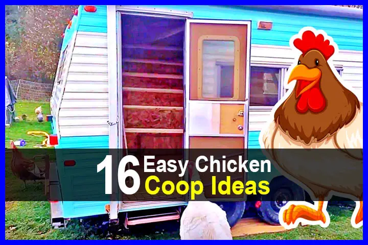 16 Easy Chicken Coop Ideas