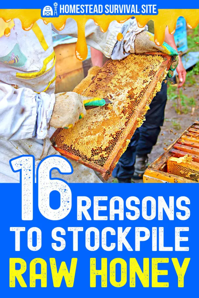 16 Reasons To Stockpile Raw Honey