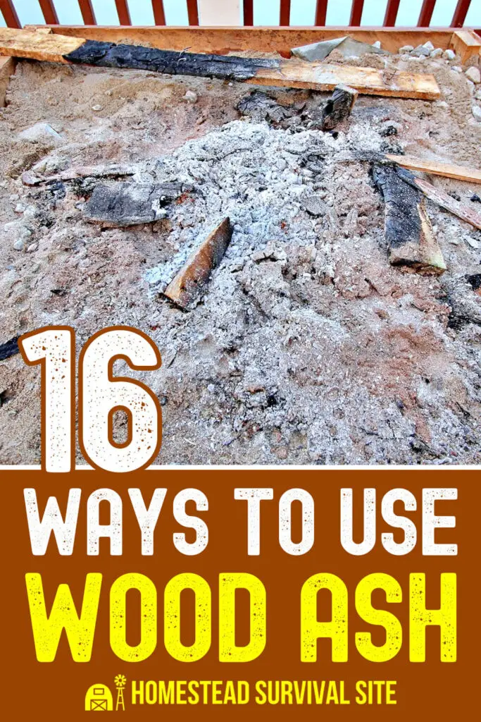 16 Ways to Use Wood Ash