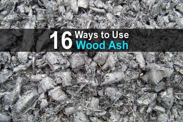 16 Ways to Use Wood Ash on Your Homestead