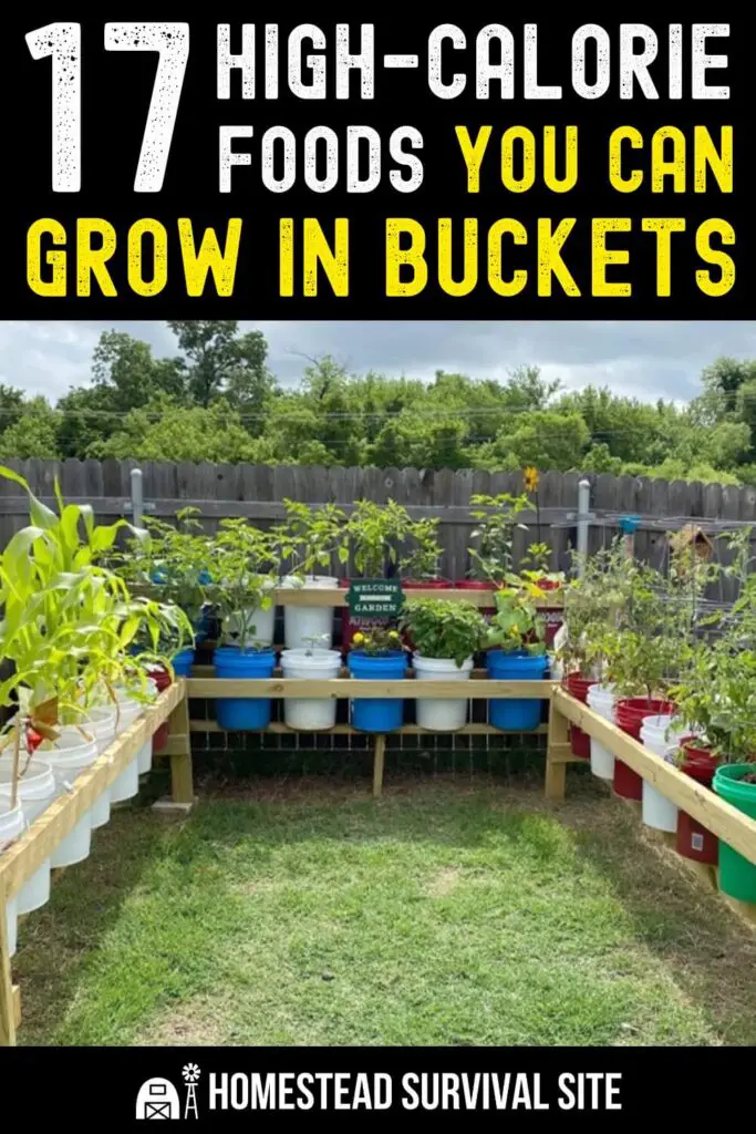 17 High-Calorie Foods You Can Grow In Buckets