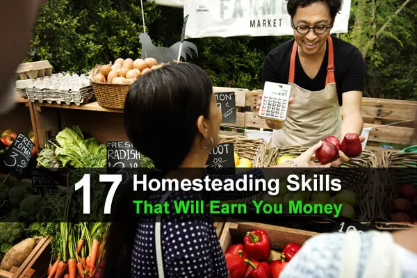 17 Homesteading Skills That Will Earn You Money
