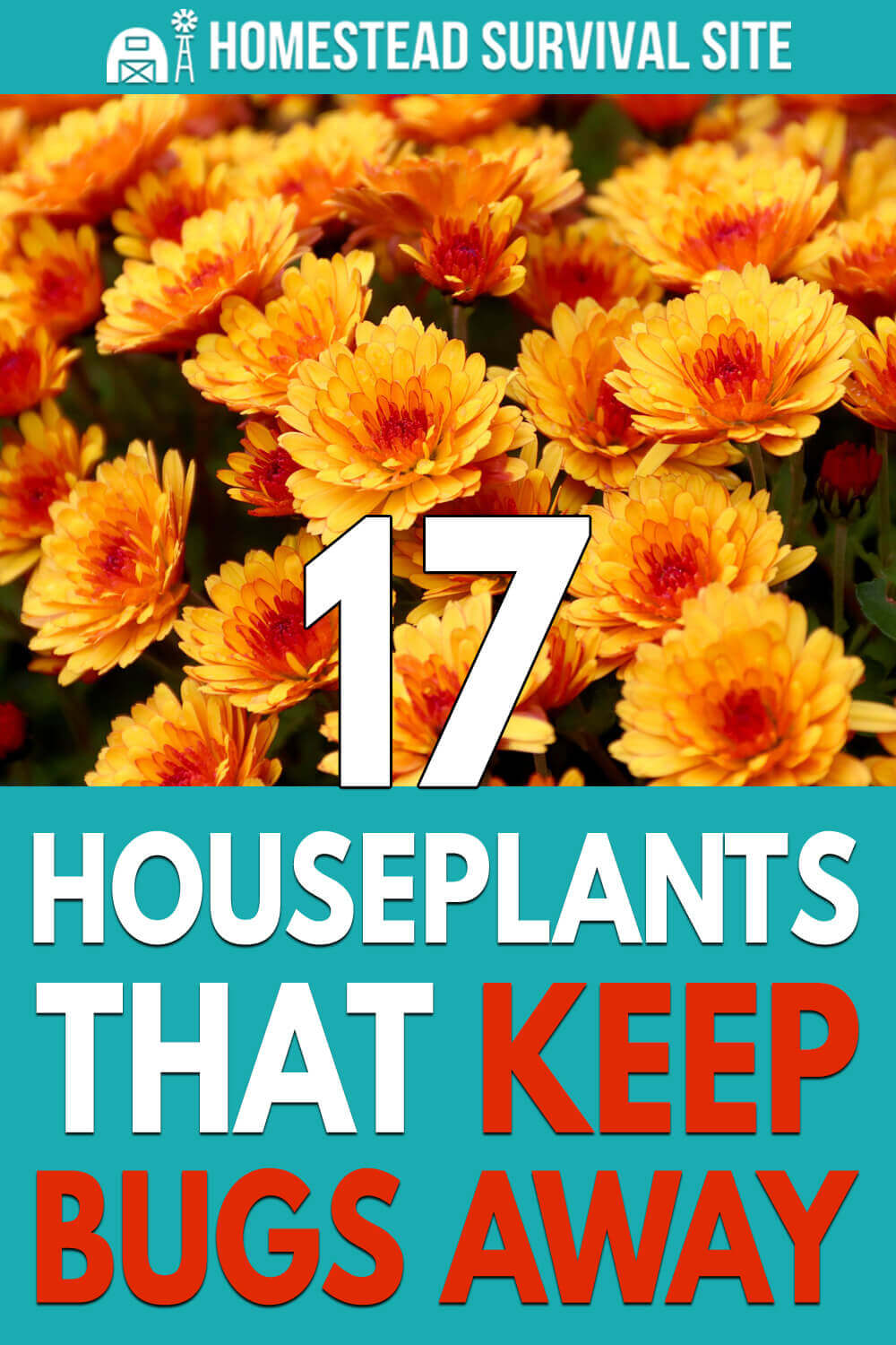 17 Houseplants That Keep Bugs Away Homestead Survival Site