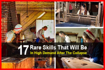 17 Rare Skills That Will Be In High Demand After The Collapse