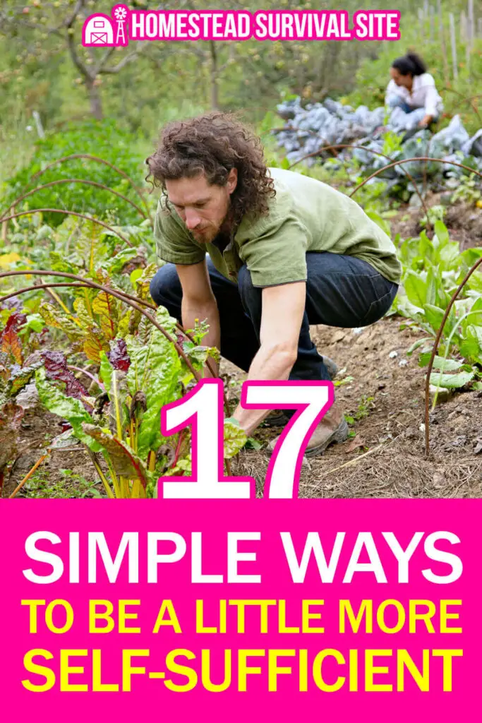 17 Simple Ways to Be a Little More Self-Sufficient