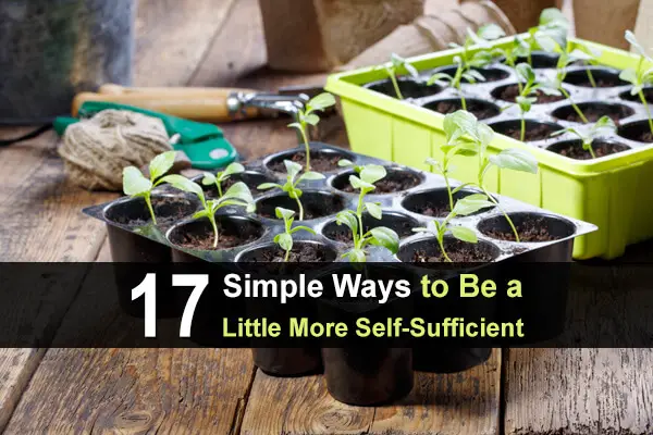 17 Simple Ways to Be a Little More Self-Sufficient