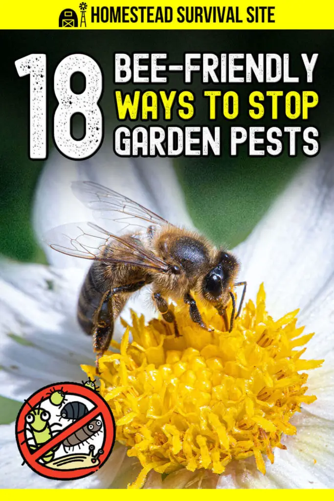 18 Bee-Friendly Ways to Stop Garden Pests