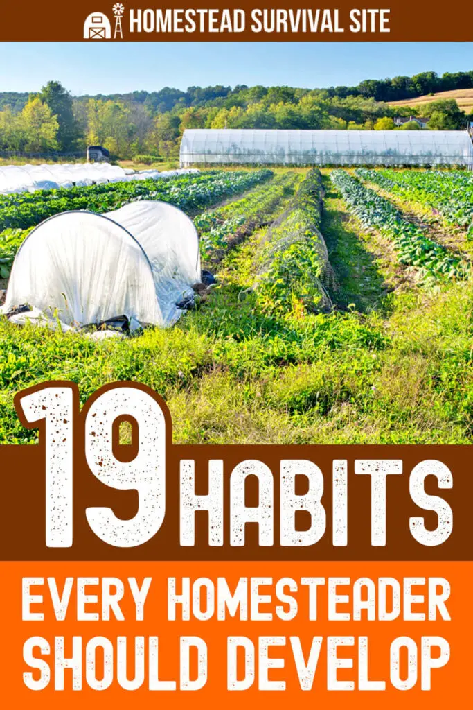 19 Habits Every Homesteader Should Develop