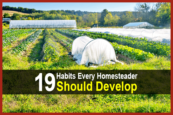 19 Habits Every Homesteader Should Develop