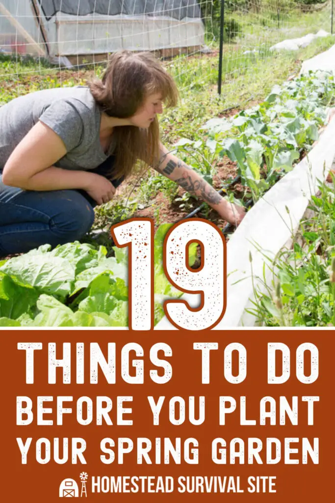 19 Things to Do Before You Plant Your Spring Garden