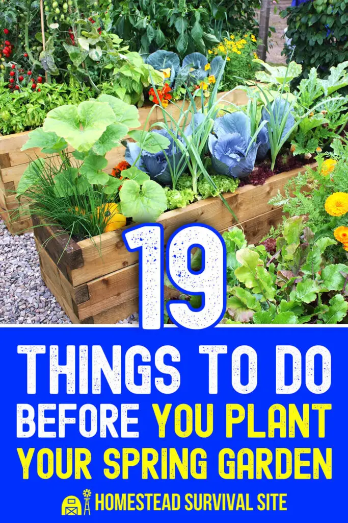 19 Things to Do Before You Plant Your Garden