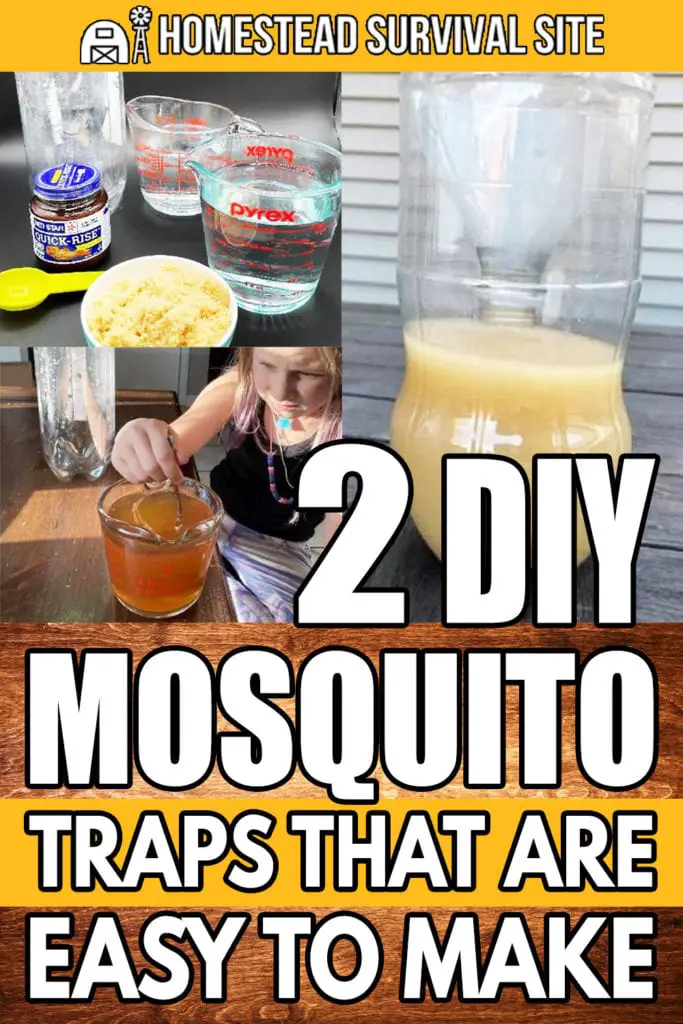 2 DIY Mosquito Traps That Are Easy To Make