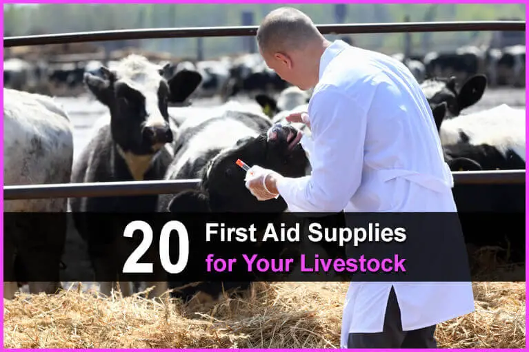 20 First Aid Supplies for Your Livestock