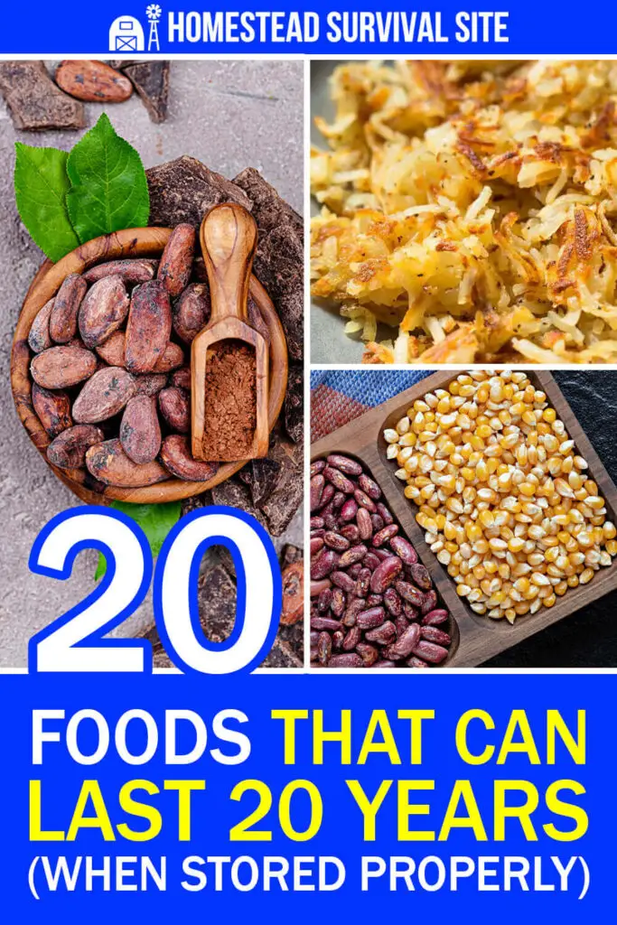 20 Foods That Can Last 20 Years (When Stored Properly)