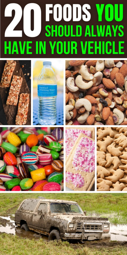 20 Foods You Should Always Have In Your Vehicle