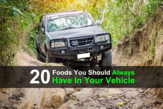 20 Foods You Should Always Have In Your Vehicle